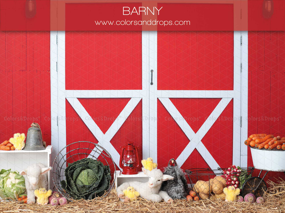 Fond photo bébé et smash cake Barny – porte de grange rouge avec légumes et animaux de ferme | Colors&Drops