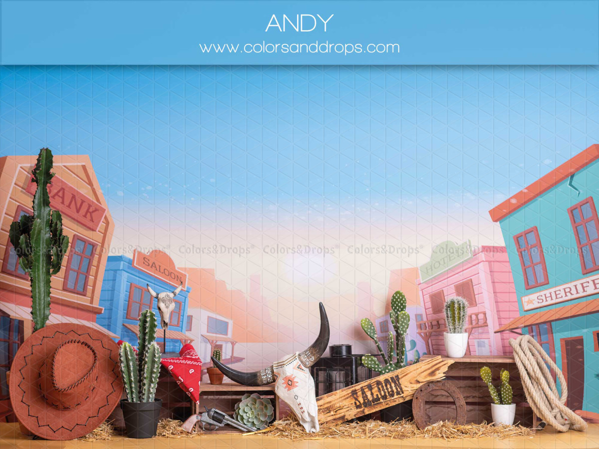 Fond photo bébé et smash cake Andy – décor western avec cactus et maisons colorées | Colors&Drops