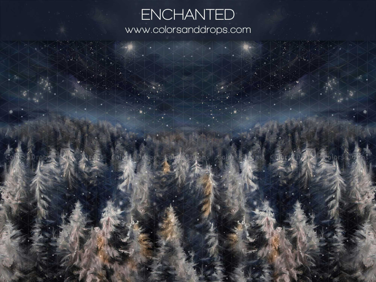 Fond photo de Noël Enchanted – forêt de sapins givrés sous ciel nocturne | Colors&Drops