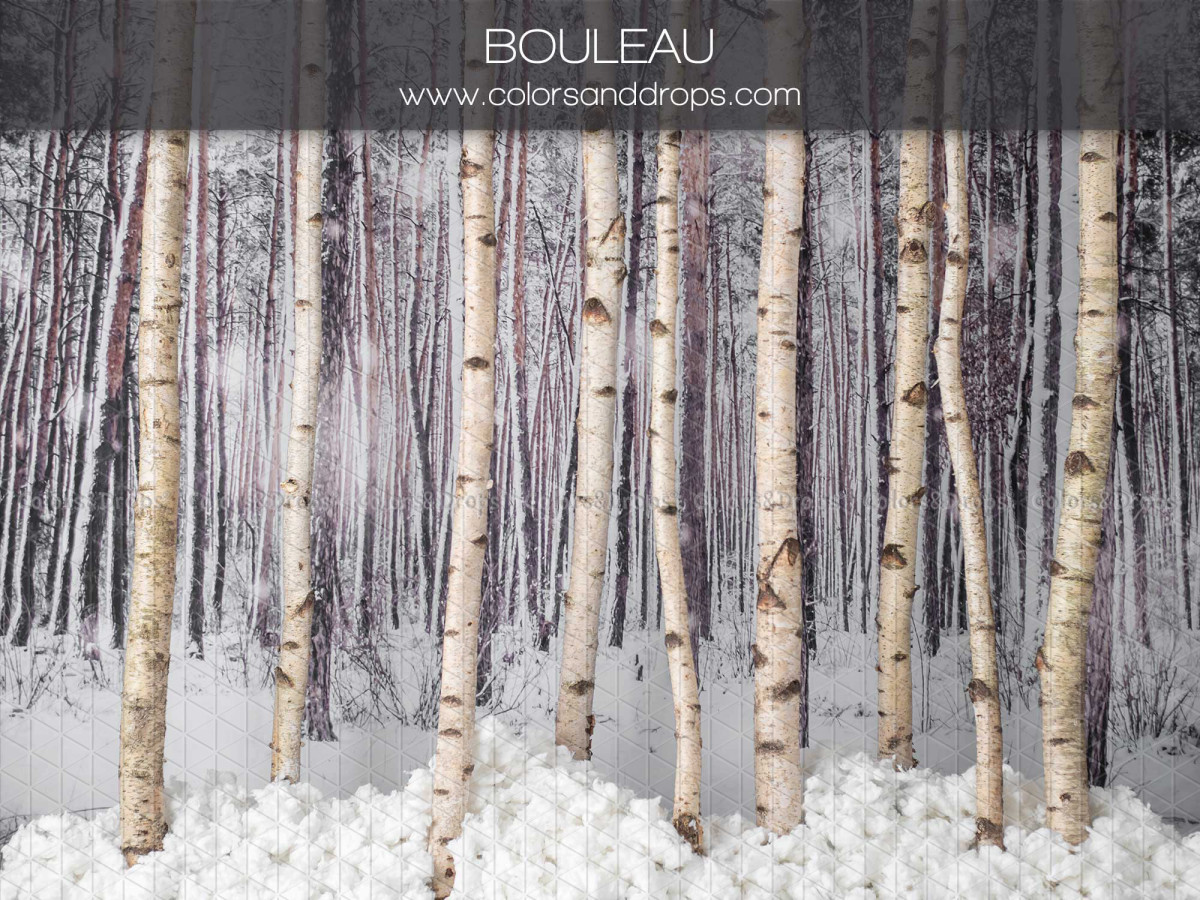 Christmas photo backdrop Bouleau – snowy birch forest | Colors&Drops