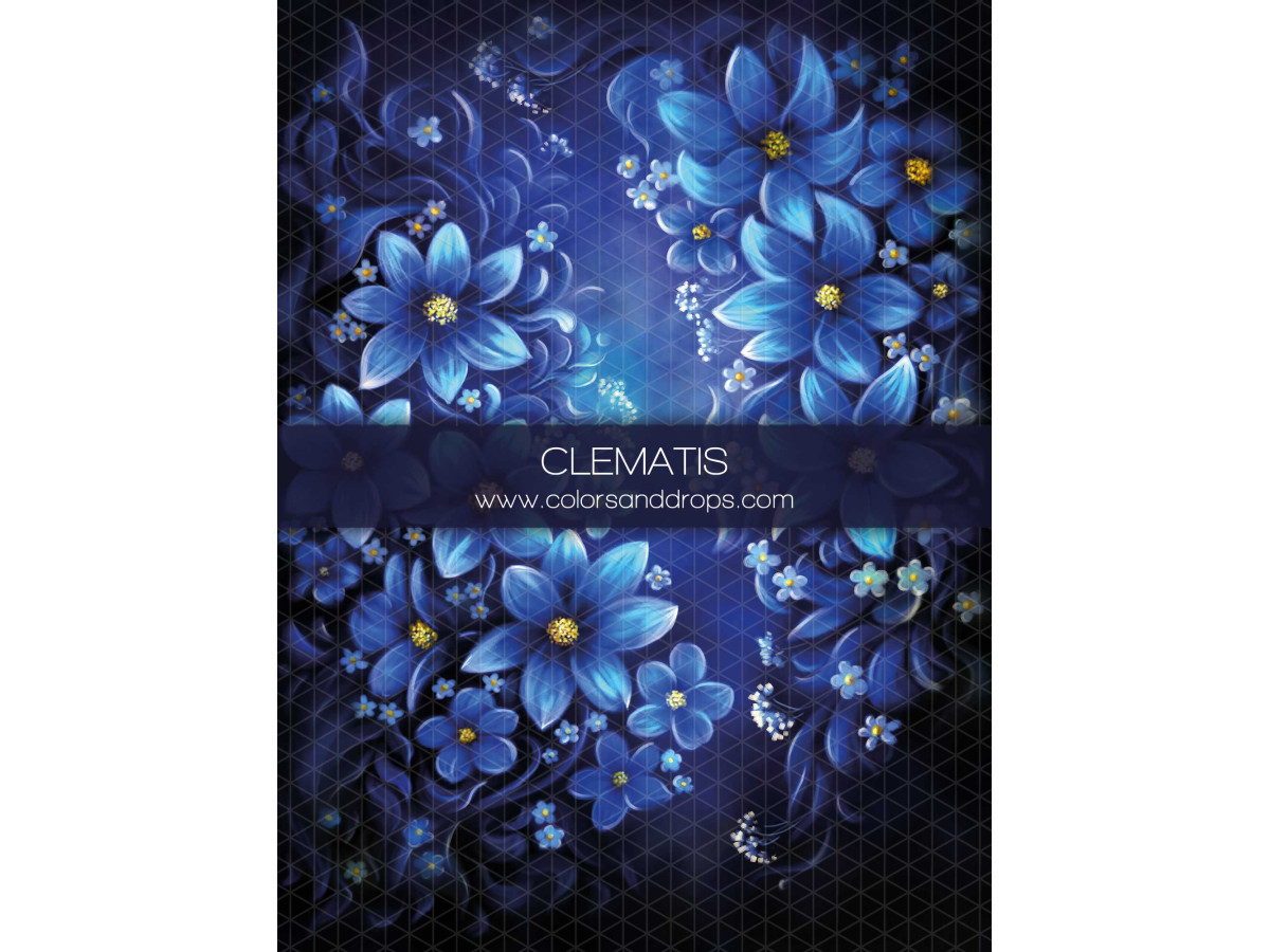 Fondo fotográfico de embarazo y retrato Clematis – flores de clemátide azules sobre fondo oscuro | Colors&Drops