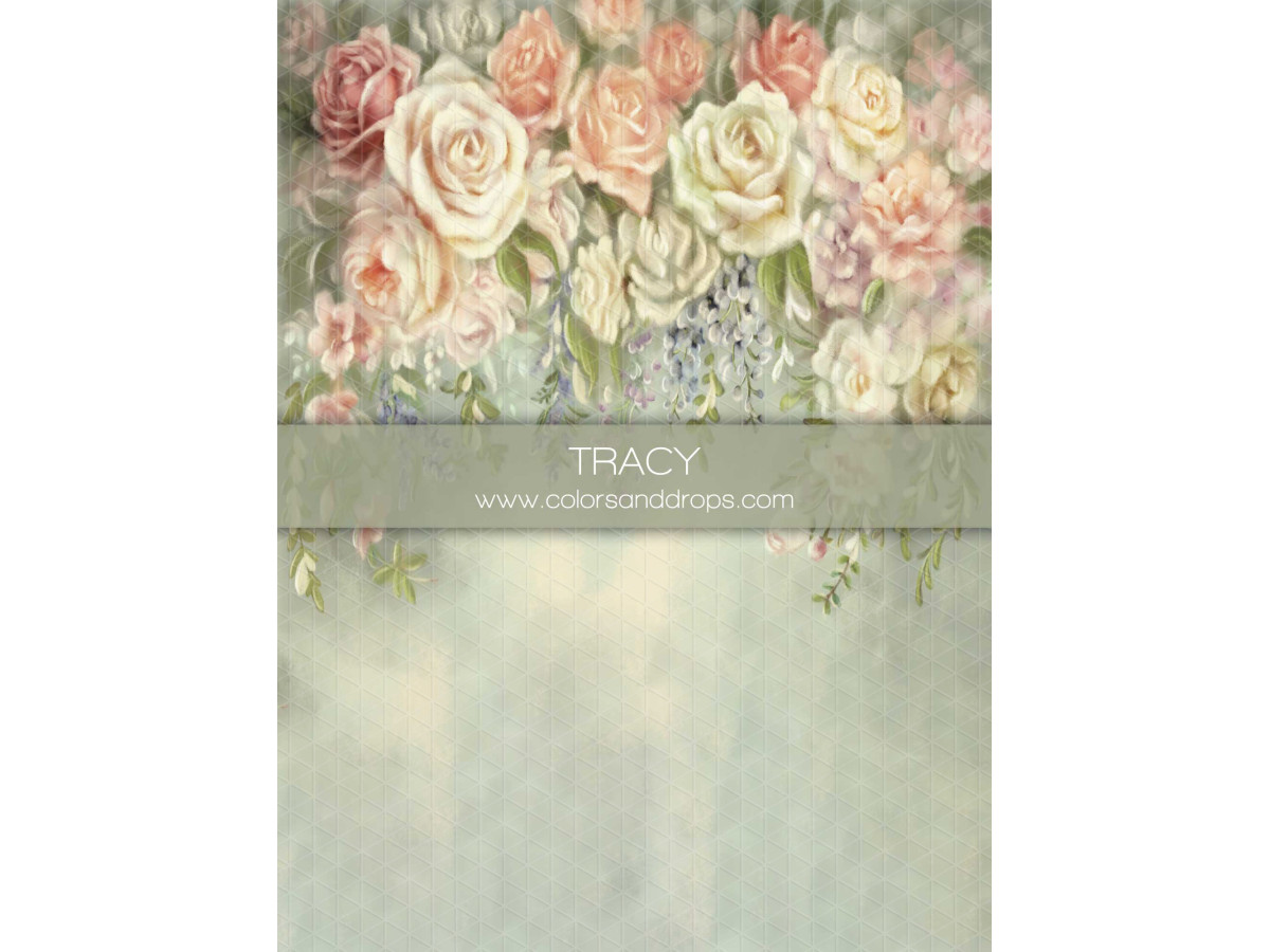 Fondo fotográfico de embarazo y retrato Tracy – ramo de rosas pastel sobre fondo verde pálido | Colors&Drops