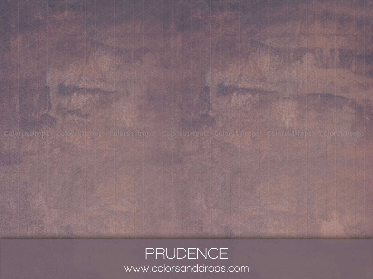 Fondo y suelo fotográficos marrón malva texturizados Prudence – textura efecto pintura marrón malva | Colors&Drops