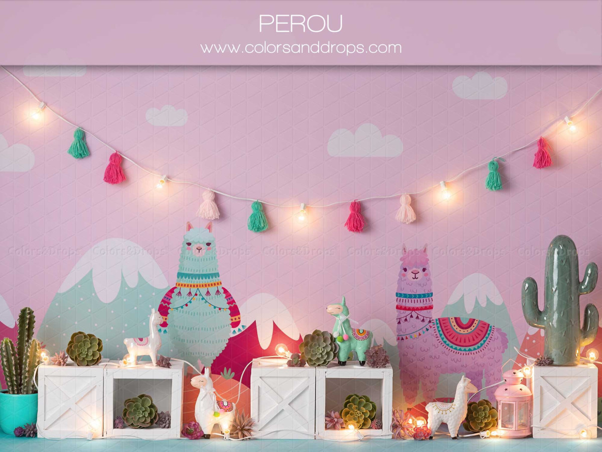 Fondo fotográfico de bebé y smash cake Perou – decorado de llamas con montañas, cactus y pompones | Colors&Drops