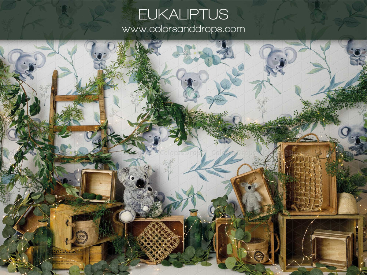 Baby & cake smash photo backdrop Eukaliptus – koala and eucalyptus wallpaper with wooden crates | Colors&Drops