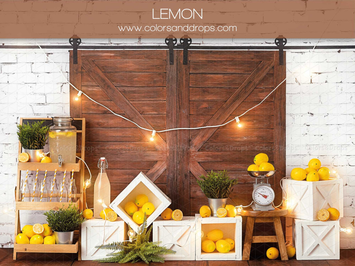 Fond photo bébé et smash cake Lemon – porte de grange en bois avec citrons et guirlande lumineuse | Colors&Drops