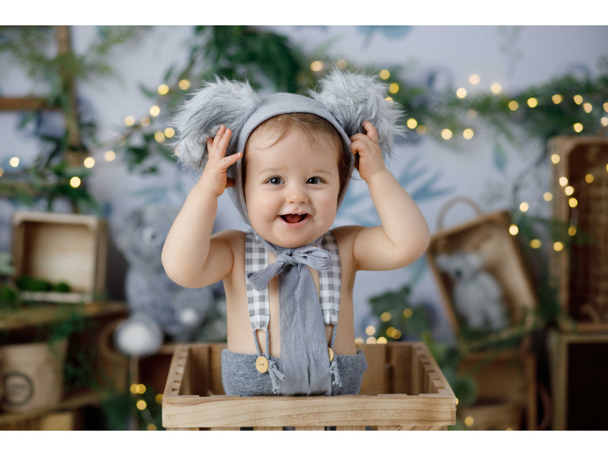Baby & cake smash photo backdrop Eukaliptus – koala and eucalyptus wallpaper with wooden crates | Colors&Drops
