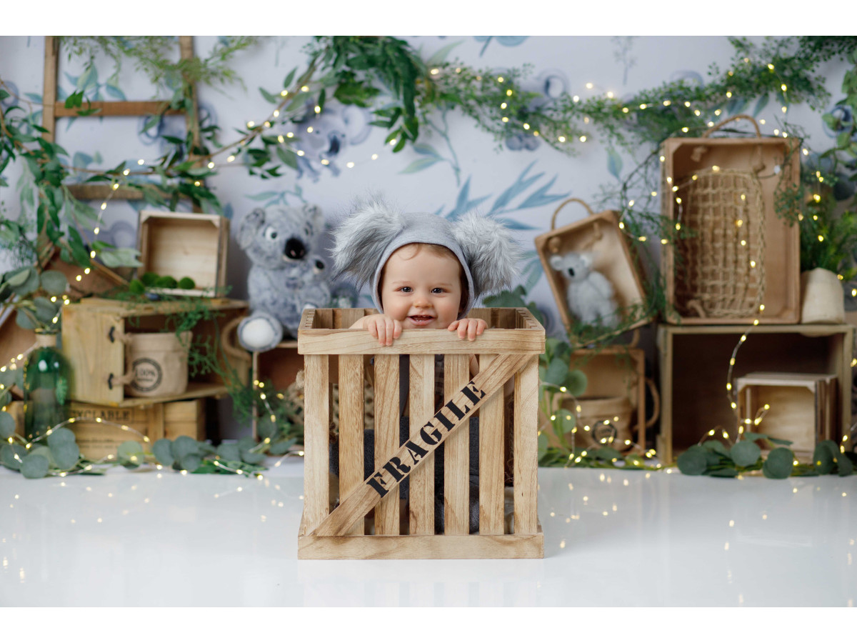 Baby & cake smash photo backdrop Eukaliptus – koala and eucalyptus wallpaper with wooden crates | Colors&Drops
