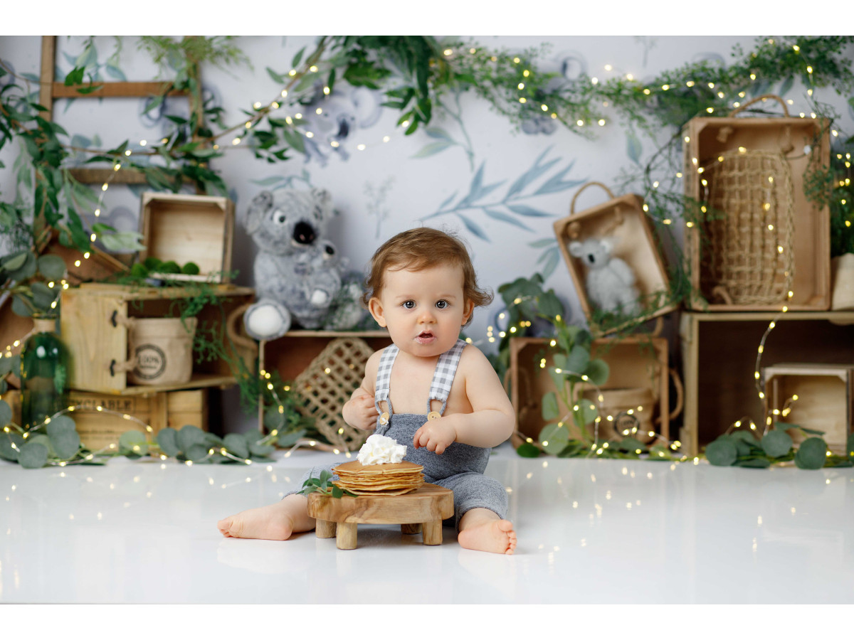 Baby & cake smash photo backdrop Eukaliptus – koala and eucalyptus wallpaper with wooden crates | Colors&Drops