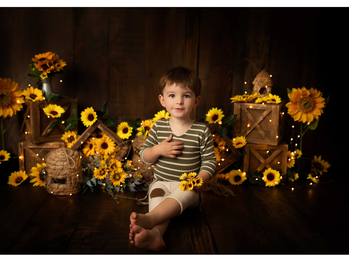 Baby & cake smash photo backdrop Sunflowerbee – sunflowers and beehives on a dark wooden wall | Colors&Drops