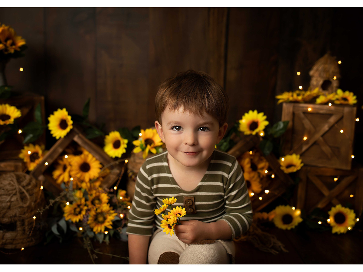 Baby & cake smash photo backdrop Sunflowerbee – sunflowers and beehives on a dark wooden wall | Colors&Drops