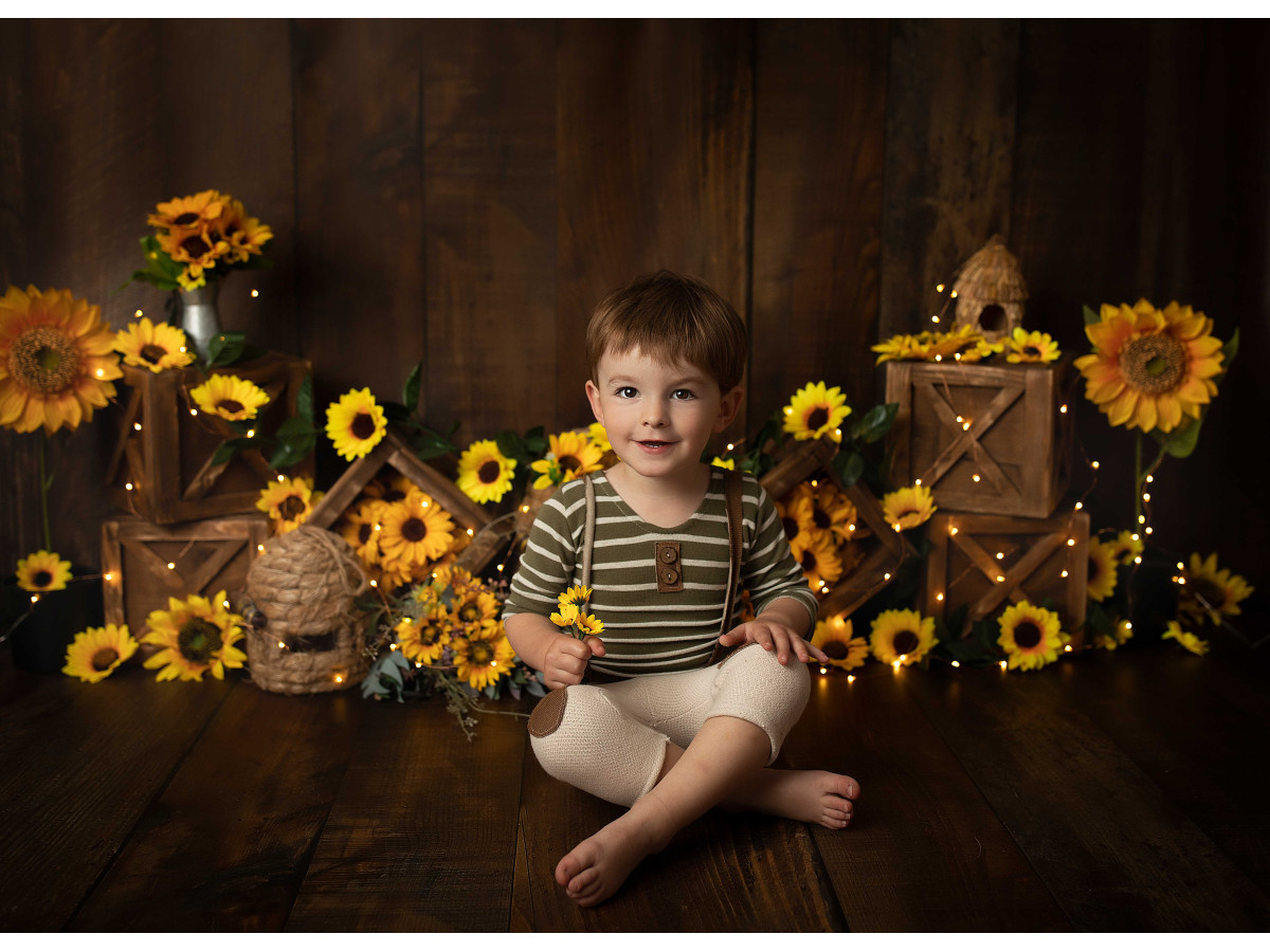 Baby & cake smash photo backdrop Sunflowerbee – sunflowers and beehives on a dark wooden wall | Colors&Drops