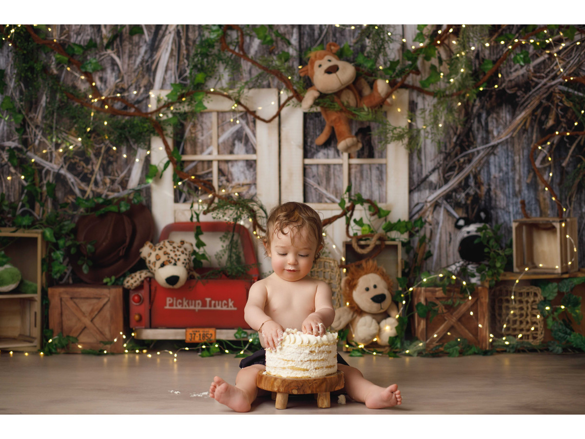 Fondo fotográfico de bebé y smash cake Safari – safari en el bosque con peluches, camión rojo y cajas | Colors&Drops