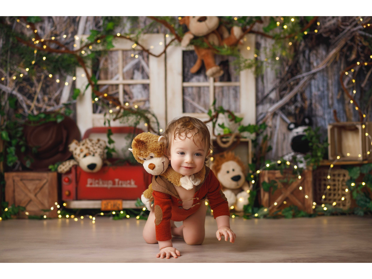 Fondo fotográfico de bebé y smash cake Safari – safari en el bosque con peluches, camión rojo y cajas | Colors&Drops