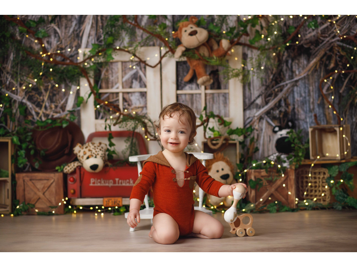Fondo fotográfico de bebé y smash cake Safari – safari en el bosque con peluches, camión rojo y cajas | Colors&Drops