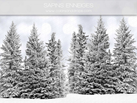 Christmas photo backdrop Sapins Enneiges – snow-covered fir forest | Colors&Drops