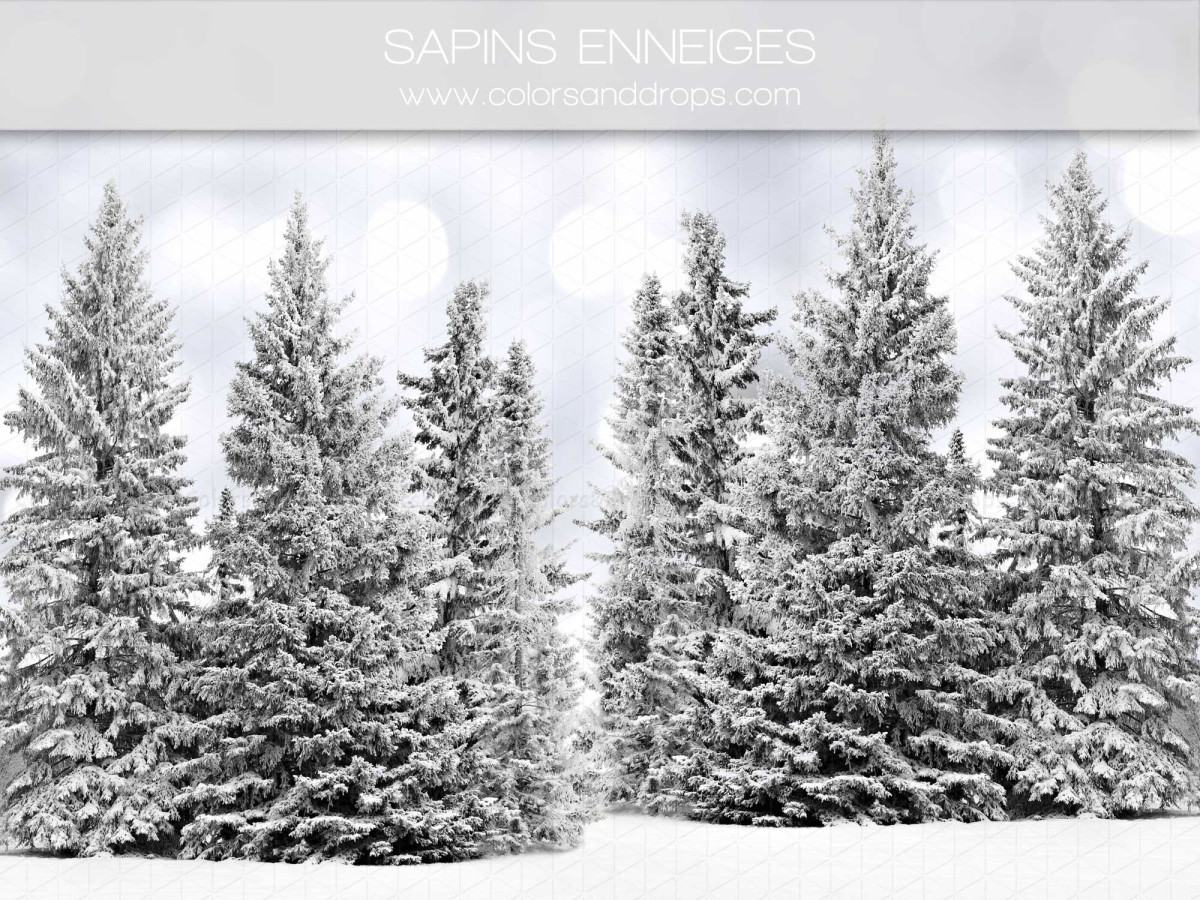 Christmas photo backdrop Sapins Enneiges – snow-covered fir forest | Colors&Drops