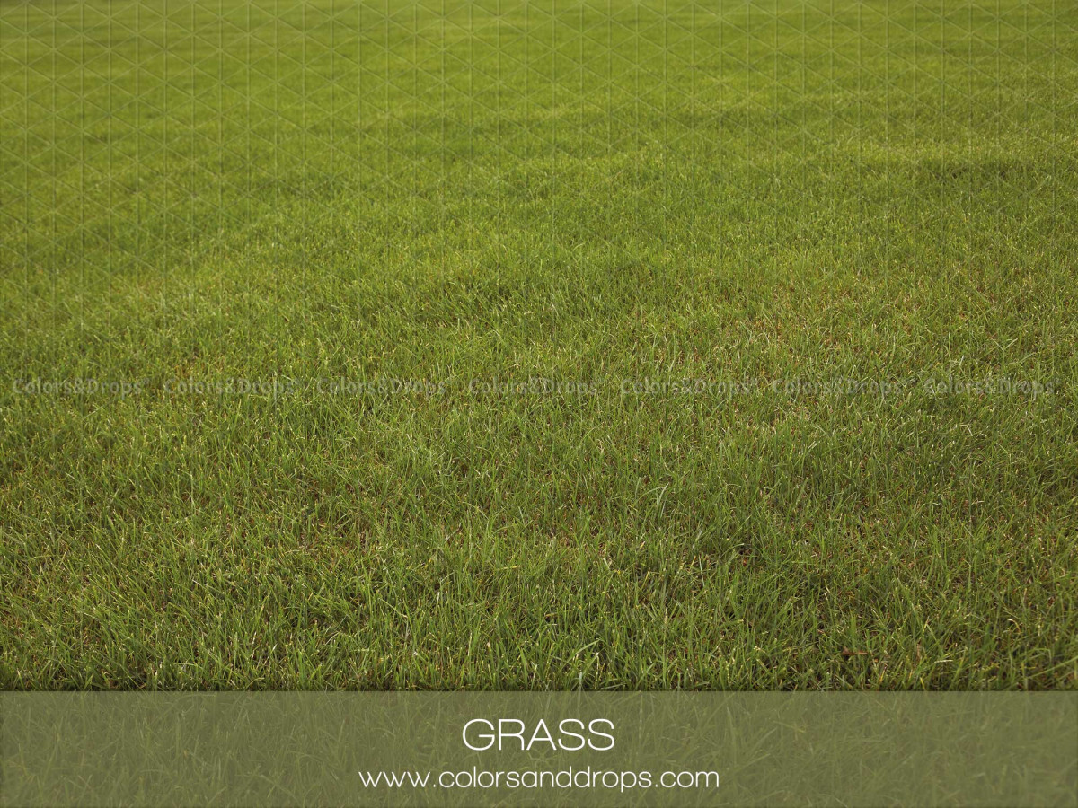 Winter photo backdrop & floor Grass – green grass lawn floor | Colors&Drops