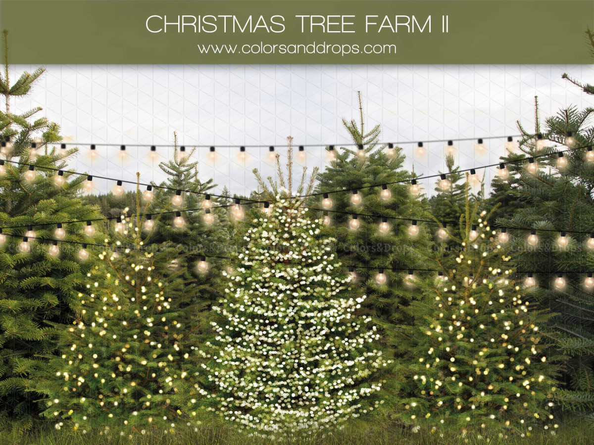 Fondo fotográfico Christmas Tree Farm II – granja de árboles de Navidad con guirnaldas de luces | Colors&Drops