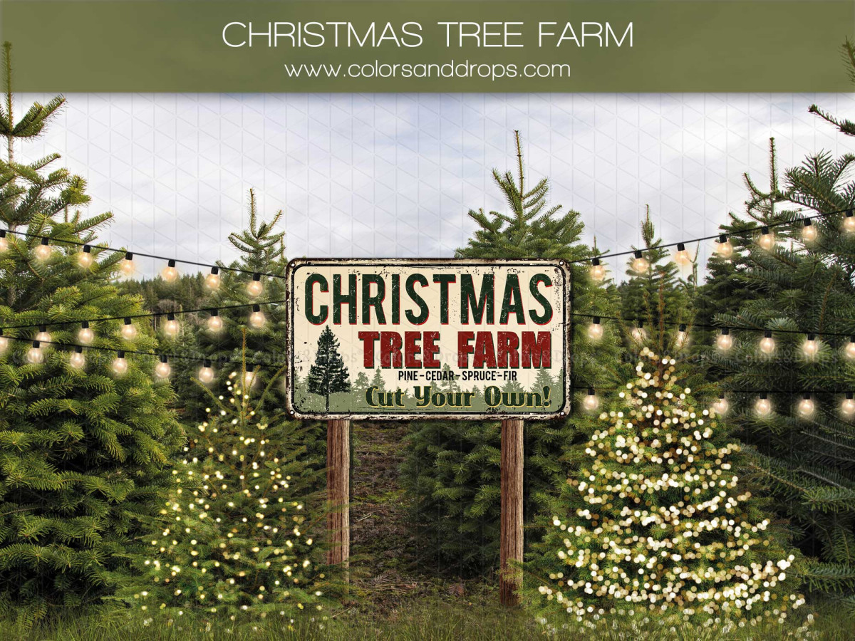Photo backdrop Christmas Tree Farm – Christmas tree farm with sign and string lights | Colors&Drops