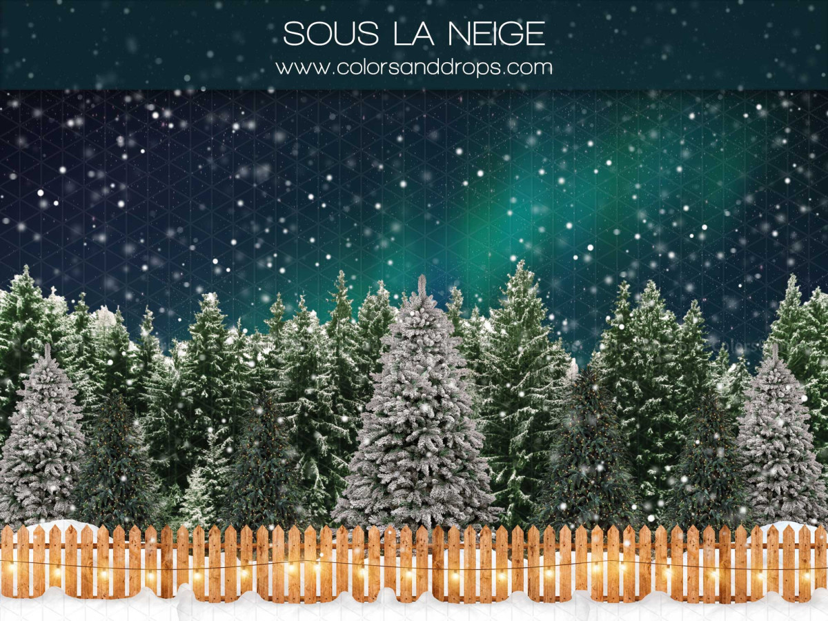 Fondo fotográfico de Navidad Sous la Neige – bosque nevado bajo aurora boreal con valla | Colors&Drops