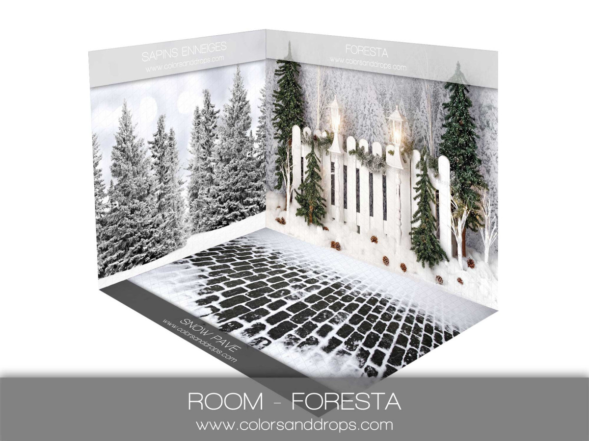 Fond photo d'angle de Noël Foresta – forêt enneigée avec barrière et pavés | Colors&Drops