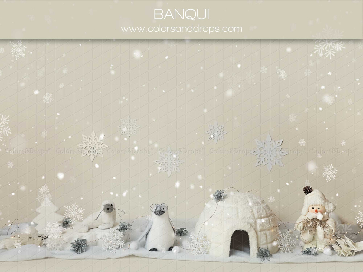 Baby & cake smash photo backdrop Banqui – snowy landscape with igloo, penguins and snowflakes | Colors&Drops