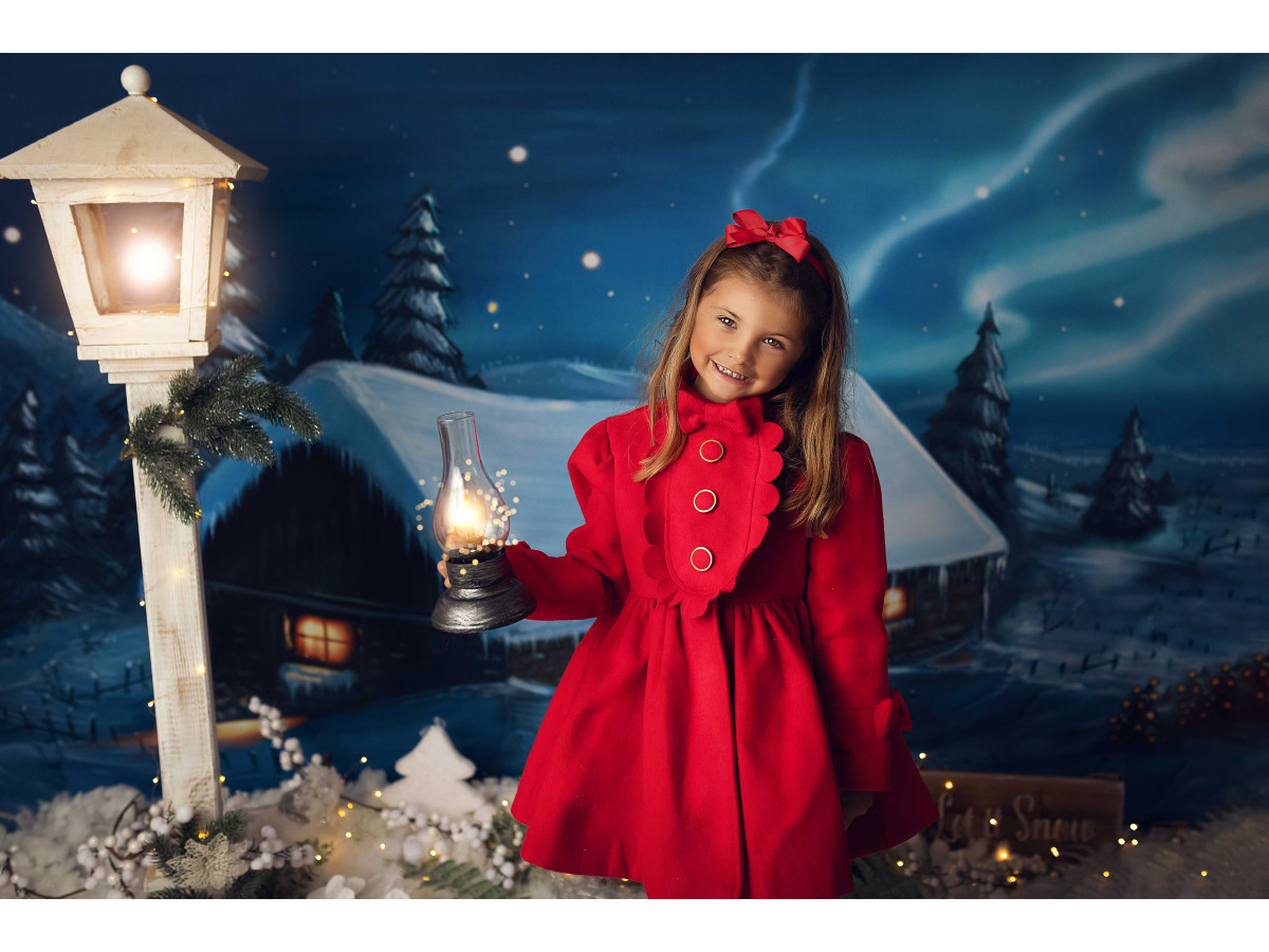 Fondo fotográfico de Navidad Valley – chalet nevado de noche en un valle de abetos | Colors&Drops