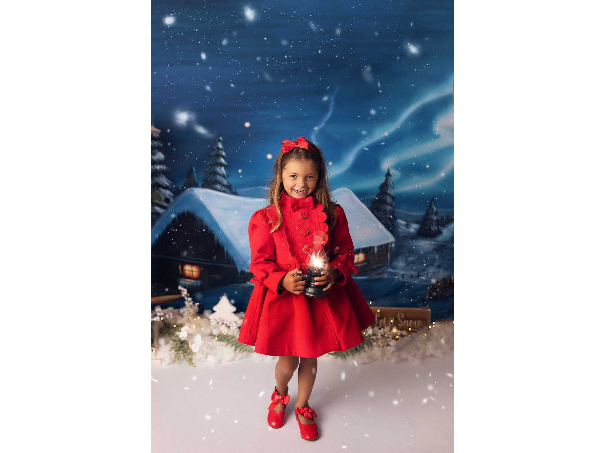 Fondo fotográfico de Navidad Valley – chalet nevado de noche en un valle de abetos | Colors&Drops