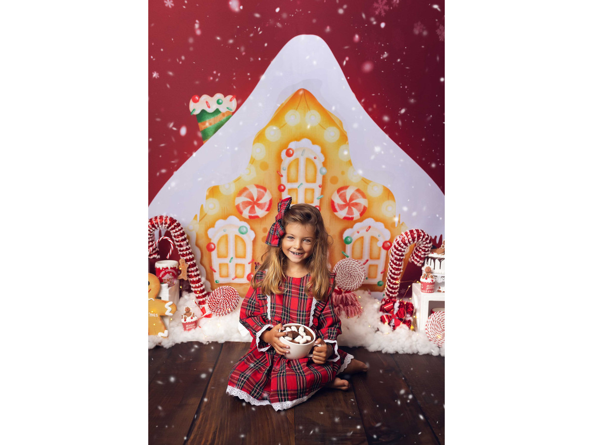 Fond photo de Noël Biscuit – maison en pain d'épices avec sucres d'orge et bonhomme | Colors&Drops