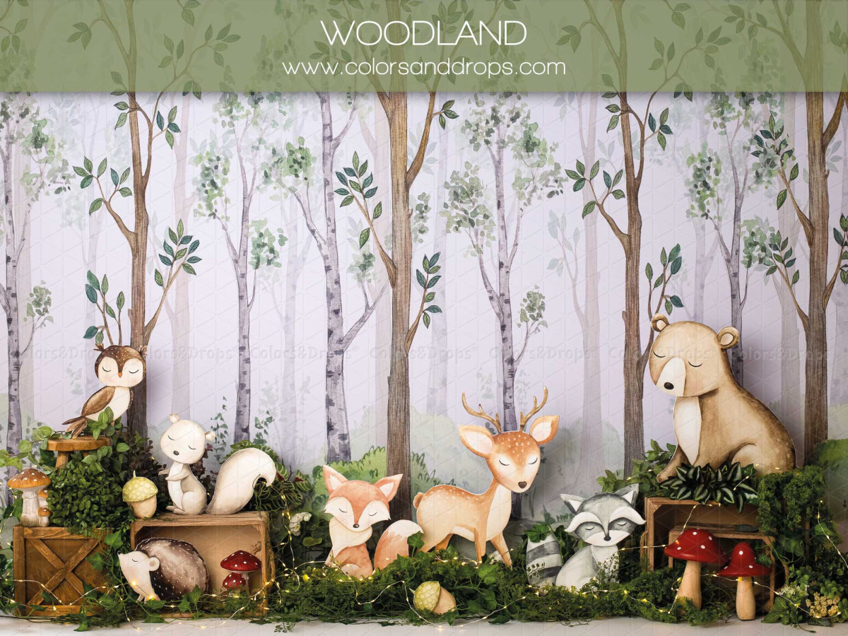 Baby & cake smash photo backdrop Woodland – birch forest with plush animals | Colors&Drops