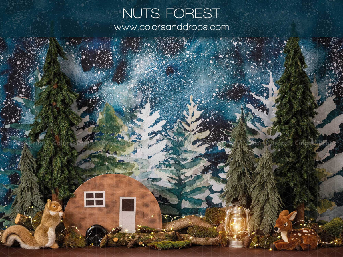 Baby & cake smash photo backdrop Nuts Forest – fir forest under starry sky with caravan | Colors&Drops