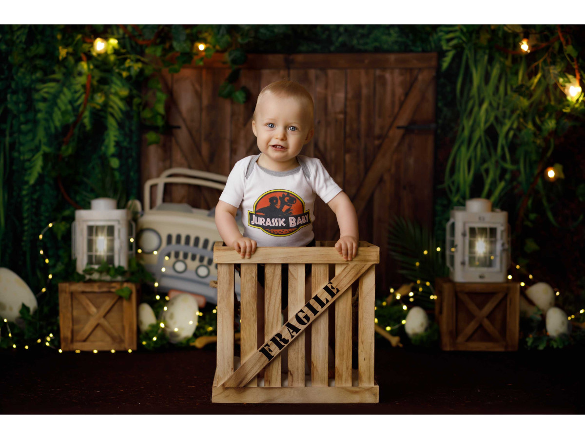 Fond photo bébé et smash cake Jurasik – jungle avec porte en bois, jeep et œufs de dinosaure | Colors&Drops