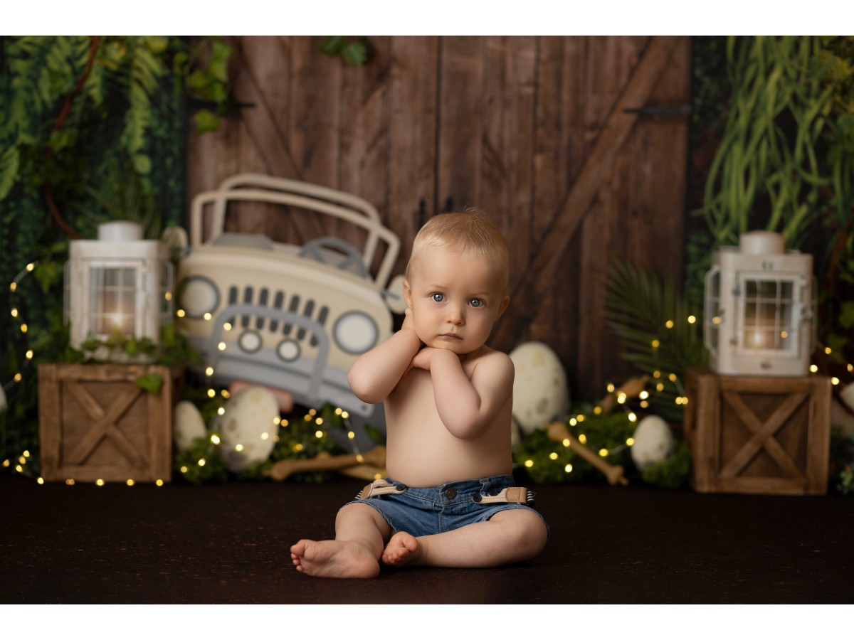 Fond photo bébé et smash cake Jurasik – jungle avec porte en bois, jeep et œufs de dinosaure | Colors&Drops