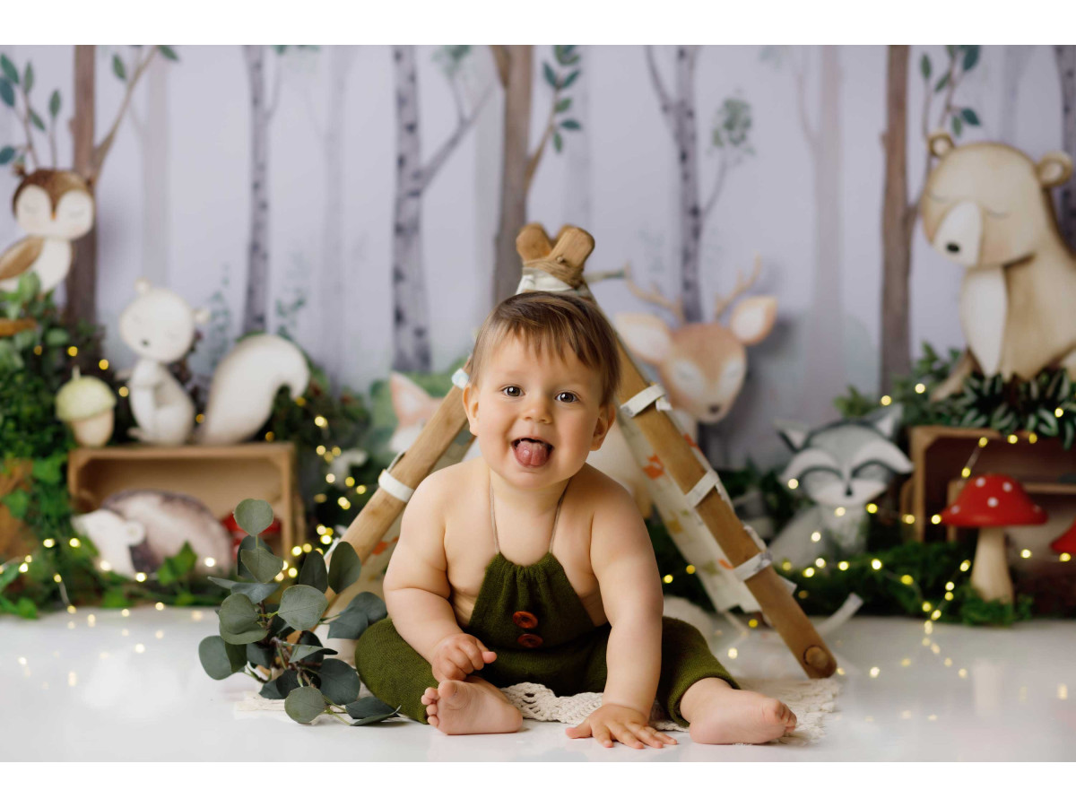 Baby & cake smash photo backdrop Woodland – birch forest with plush animals | Colors&Drops