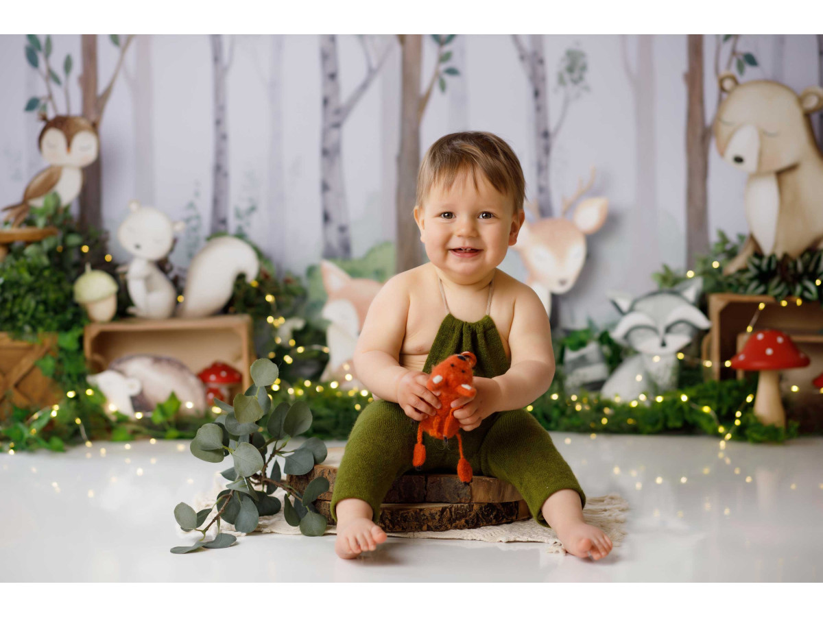 Baby & cake smash photo backdrop Woodland – birch forest with plush animals | Colors&Drops