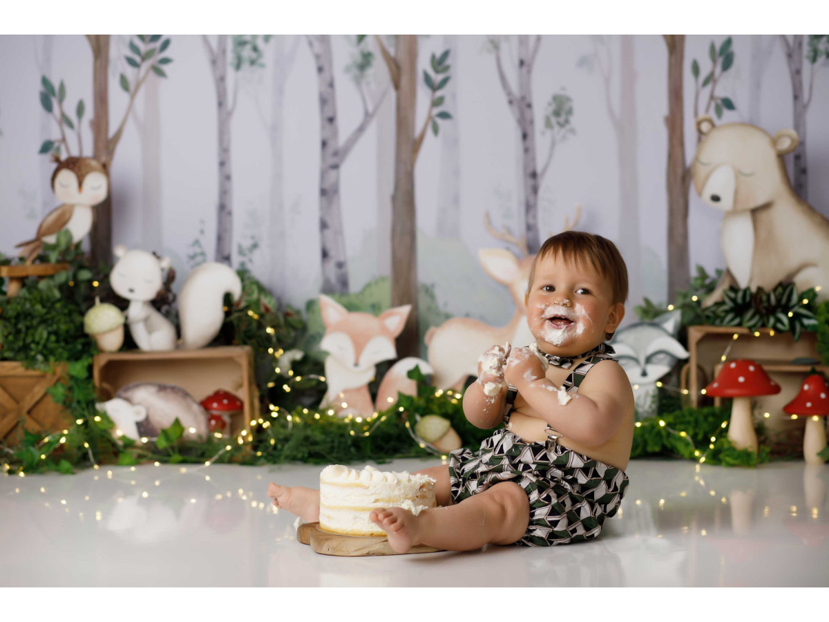 Baby & cake smash photo backdrop Woodland – birch forest with plush animals | Colors&Drops
