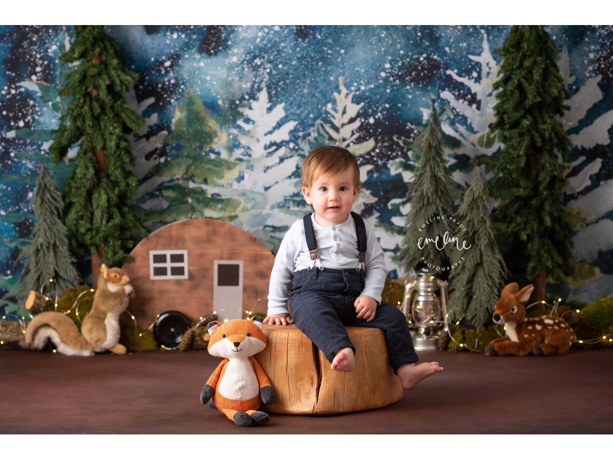 Baby & cake smash photo backdrop Nuts Forest – fir forest under starry sky with caravan | Colors&Drops