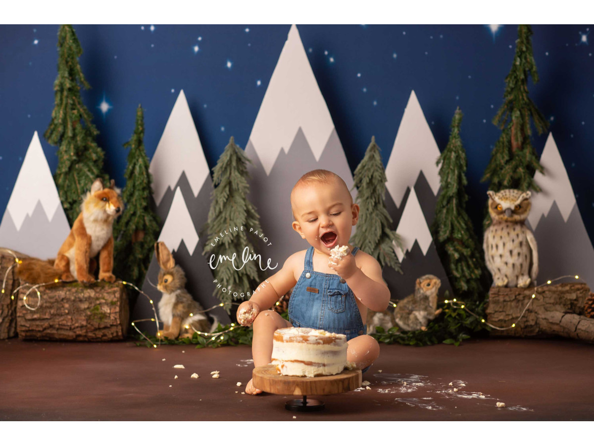 Fond photo bébé et smash cake Montain – montagnes enneigées et forêt de sapins la nuit avec animaux | Colors&Drops