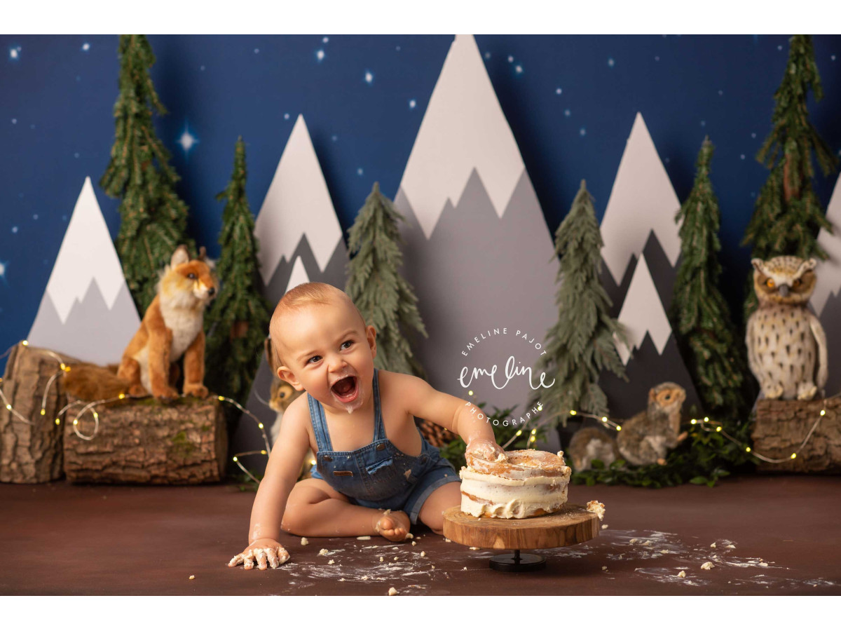 Fond photo bébé et smash cake Montain – montagnes enneigées et forêt de sapins la nuit avec animaux | Colors&Drops