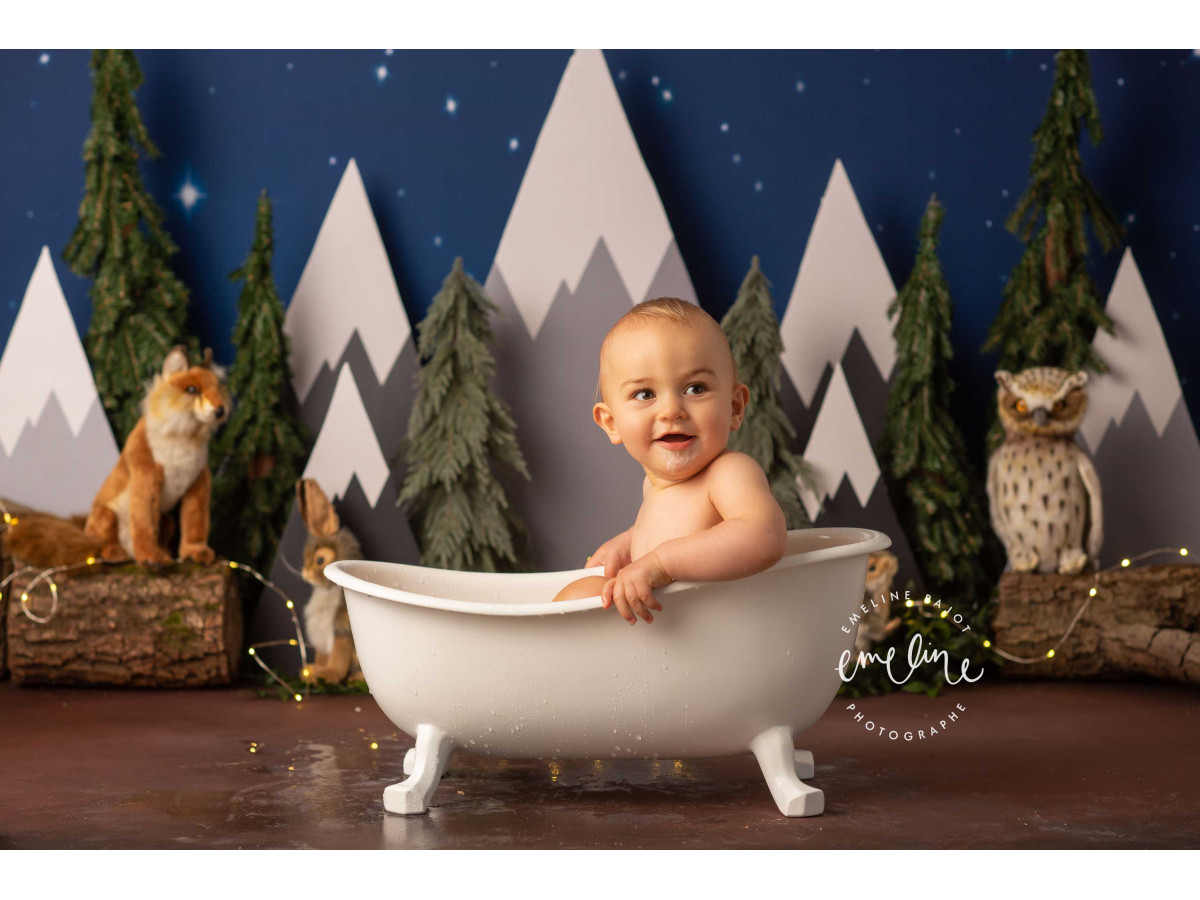 Fond photo bébé et smash cake Montain – montagnes enneigées et forêt de sapins la nuit avec animaux | Colors&Drops