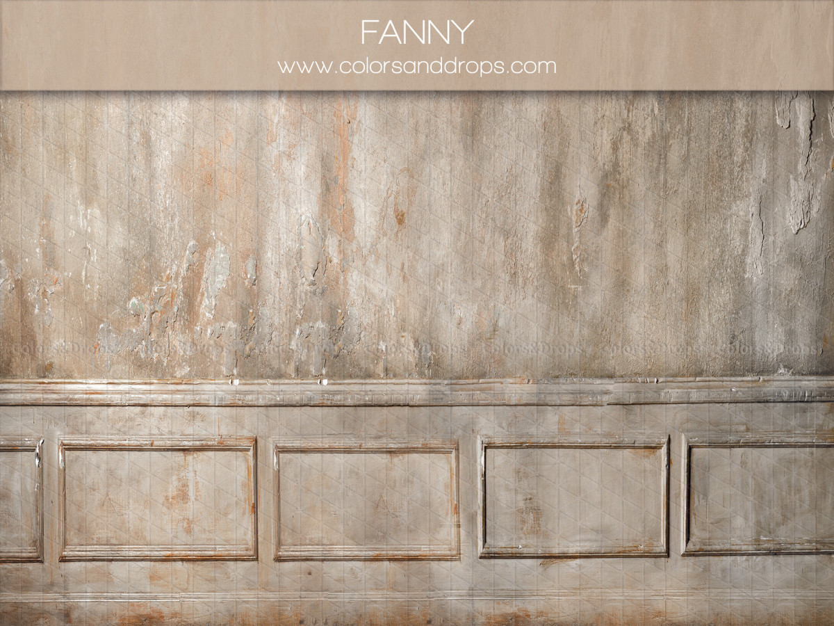 Photo backdrop Fanny – old plastered wall with panelled wainscoting | Colors&Drops