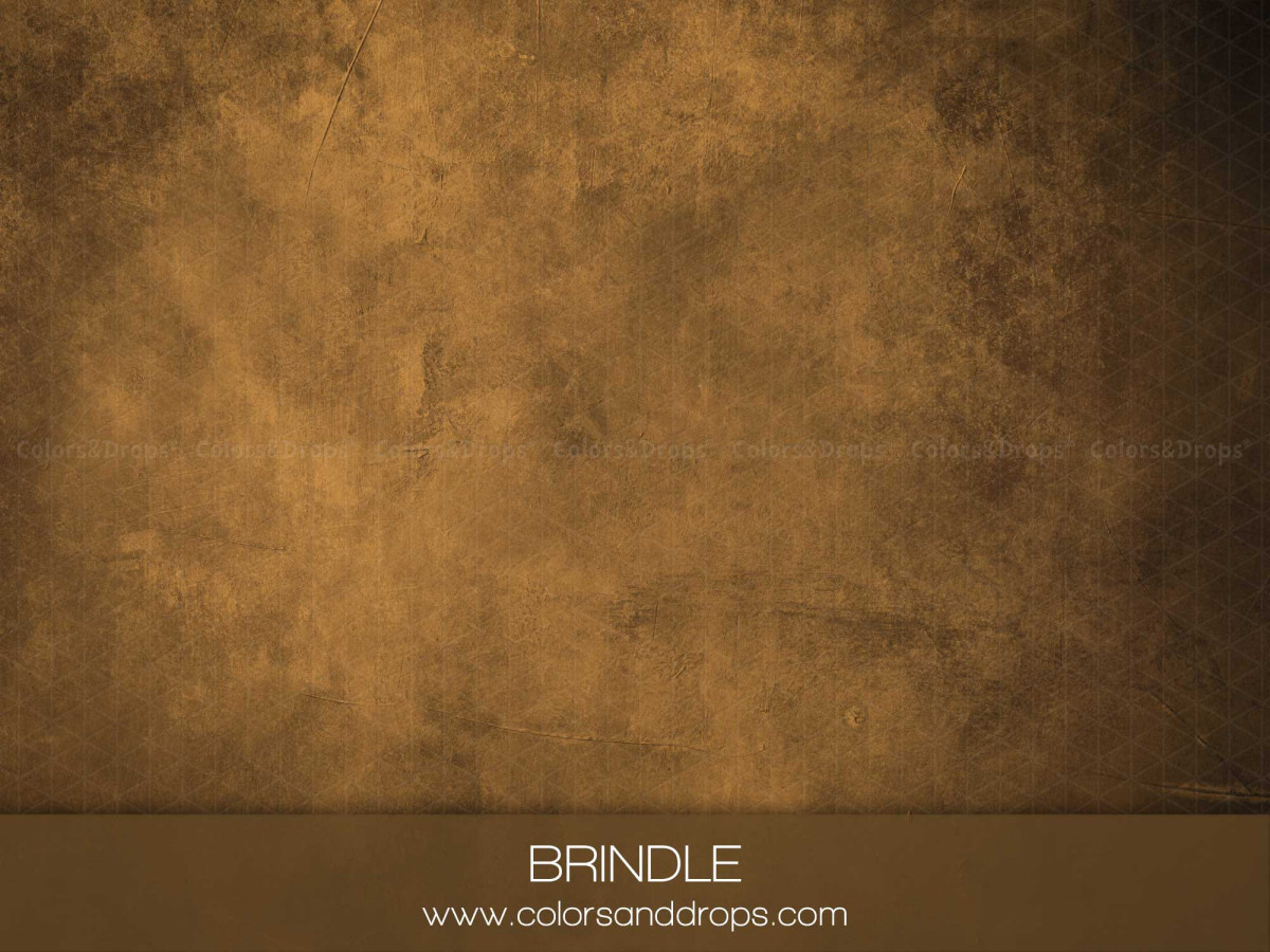 Fond photo ocre texturé Brindel – texture effet peinture ocre doré | Colors&Drops