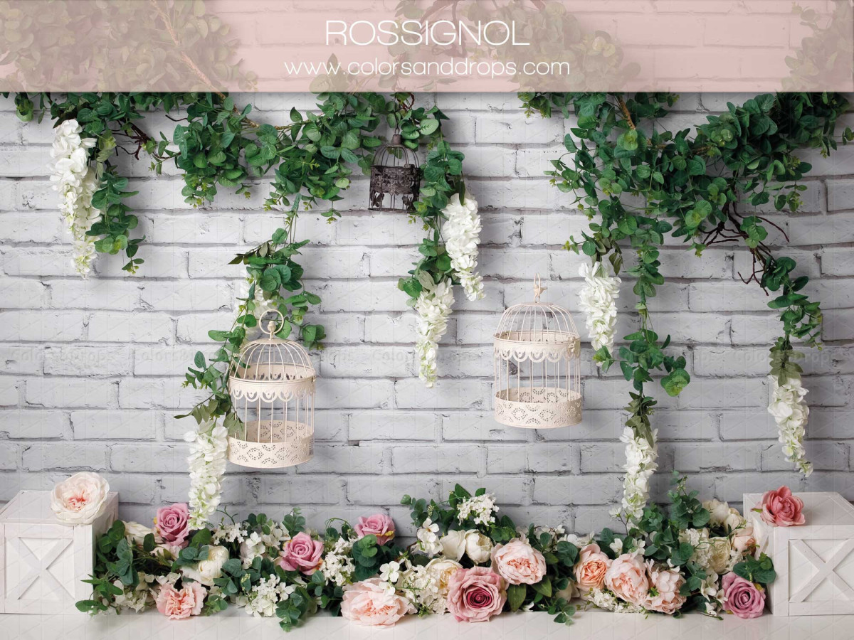 Fond photo bébé et smash cake Rossignol – mur en brique blanc avec glycine, cages et roses | Colors&Drops