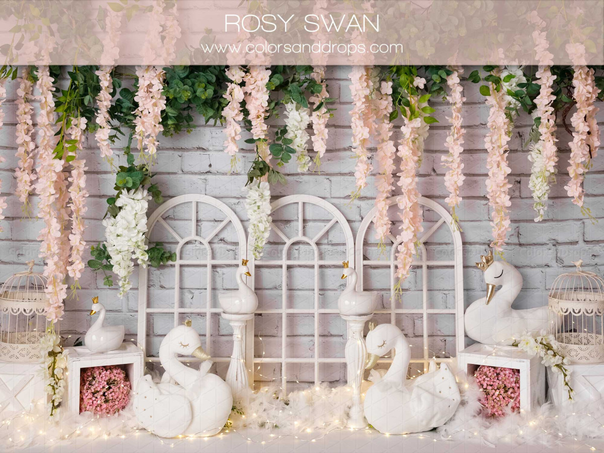 Fond photo bébé et smash cake Rosy Swan – cygnes blancs, fenêtres et glycine rose | Colors&Drops