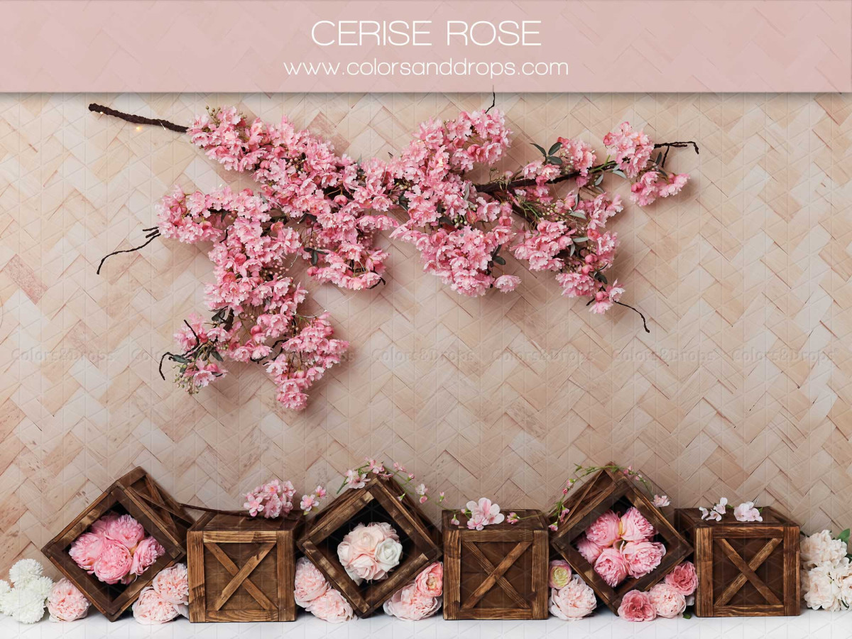 Fond photo bébé et smash cake Cerise Rose – branche de cerisier en fleurs sur mur tressé avec caisses | Colors&Drops