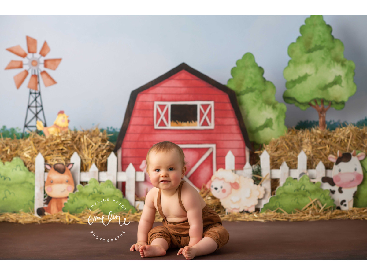 Fondo fotográfico de bebé y smash cake Ferdinand – granja pintada con granero rojo, molino y animales | Colors&Drops