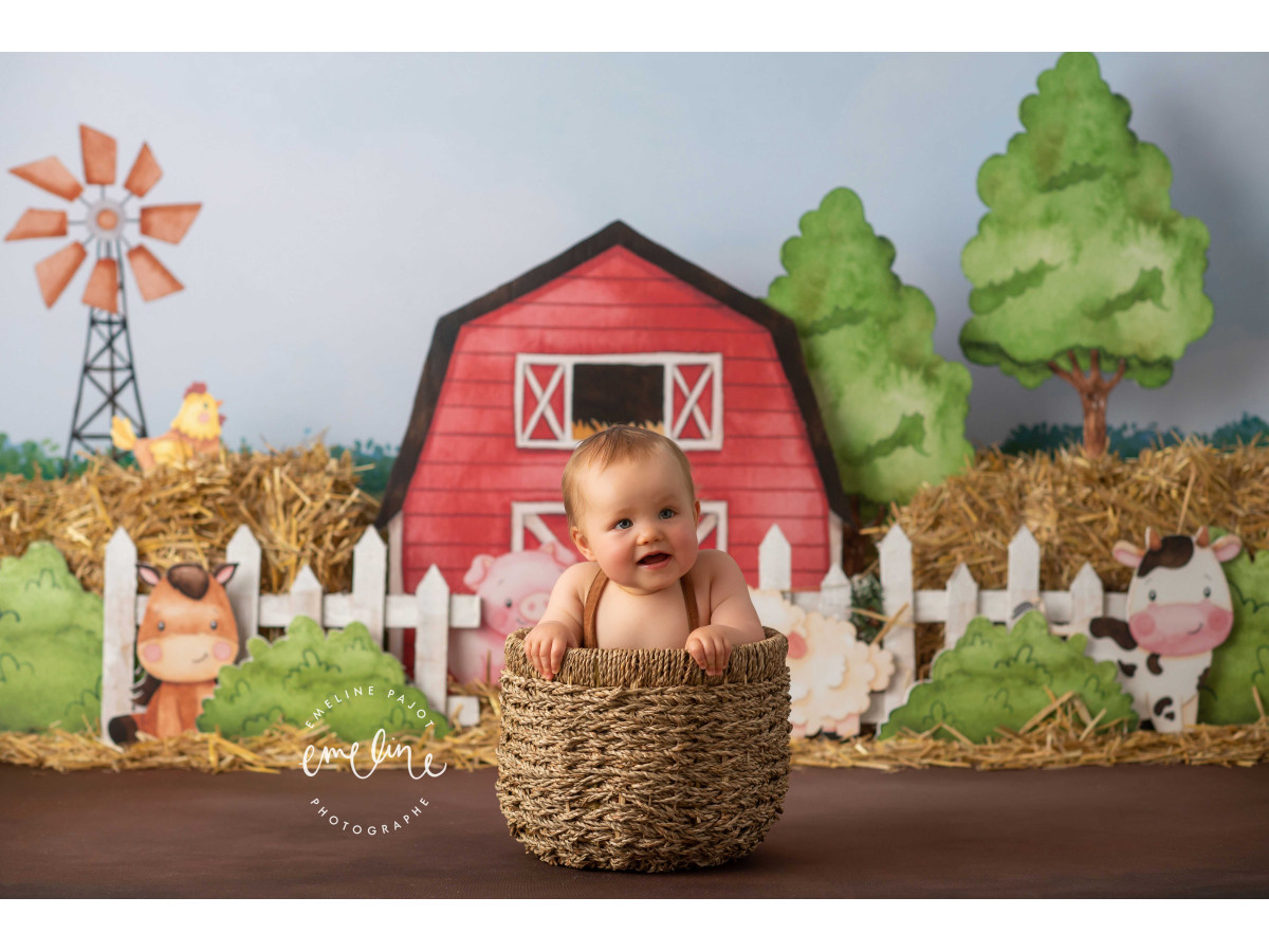 Fondo fotográfico de bebé y smash cake Ferdinand – granja pintada con granero rojo, molino y animales | Colors&Drops