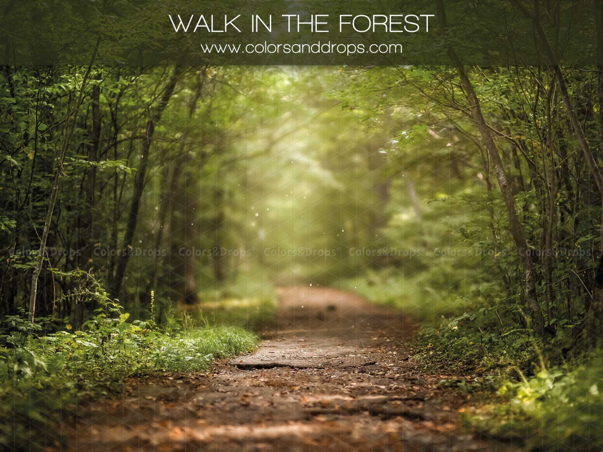 Autumn photo backdrop Walk in the Forest – path through a lush green forest | Colors&Drops