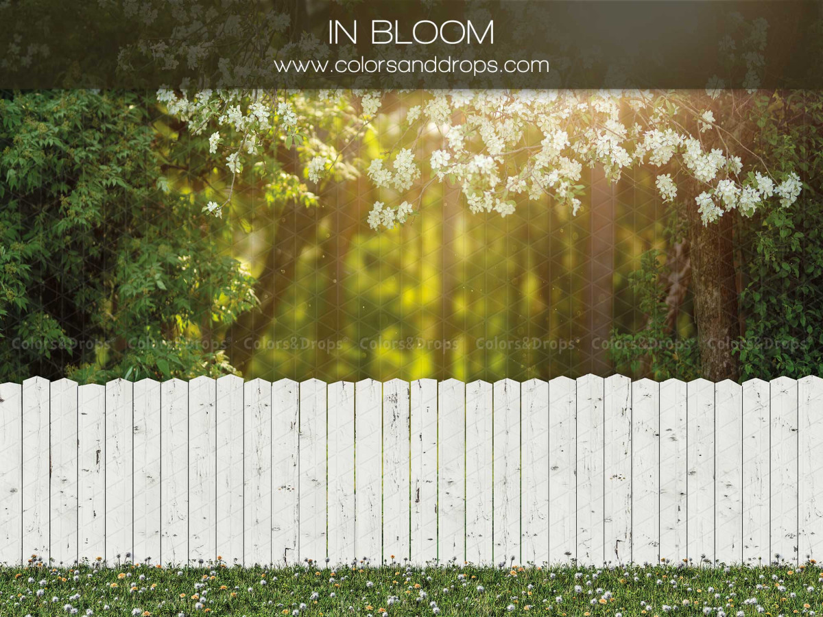 Fondo fotográfico de primavera In Bloom – valla blanca ante jardín en flor | Colors&Drops
